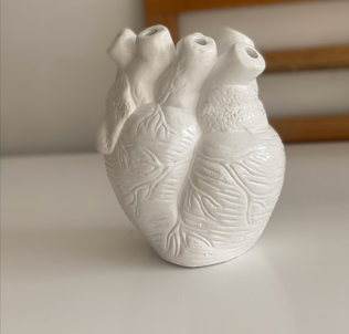 Corazon Anatomico