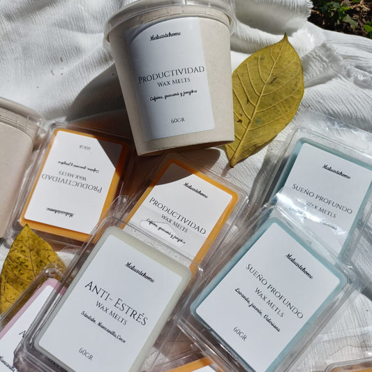 Wax Melts Kit Bienestar x 4