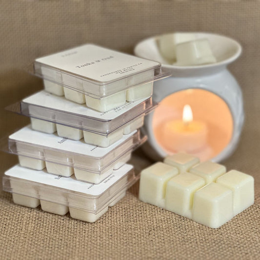 Wax Melts Kit Bienestar x 4