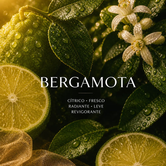 Bergamota Fresh